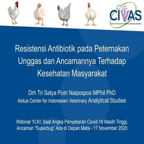 Resistensi Antimikroba pada Peternakan Unggas dan Ancamannya Terhadap Kesehat...
