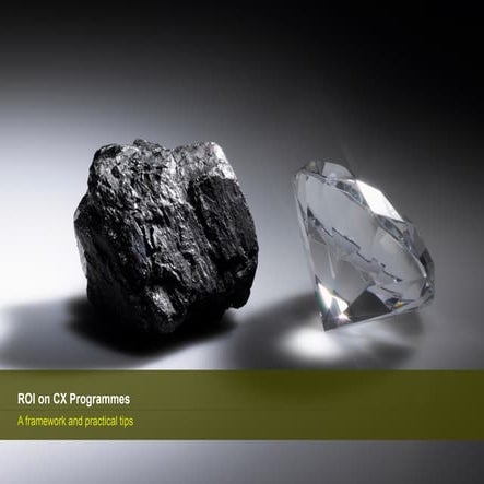 Webinar ROI on CX programmes