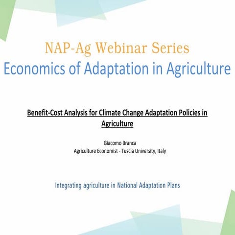 Cost-benefit analysis for climate change  adaptation policies in agriculture