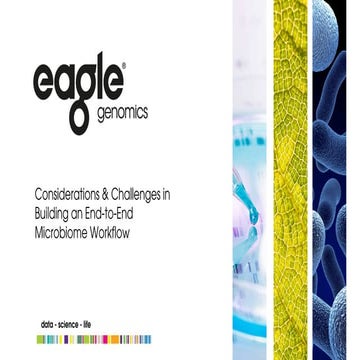 Considerations and challenges in building an end to-end microbiome workflow