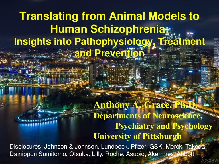 Translating from Animal Models to Human Schizophrenia Insights into…