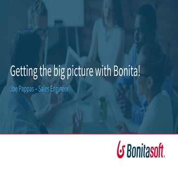 Getting the big picture with Bonita!