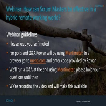 How can Scrum Masters be effective in a hybrid remote working world?