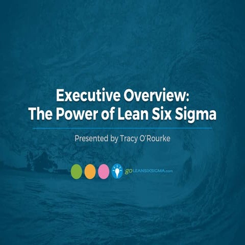 WEBINAR: Executive Overview: The Power of Lean Six Sigma