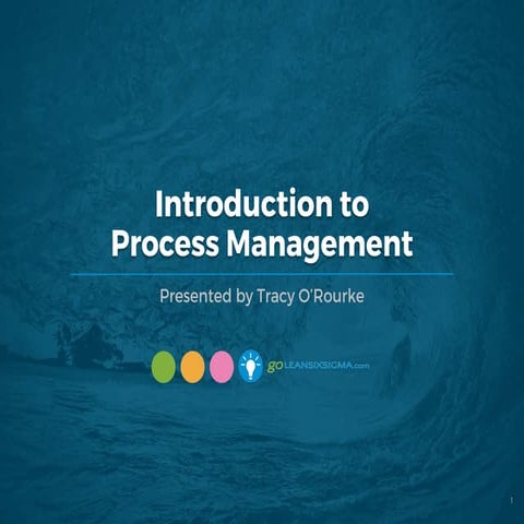 WEBINAR: Introduction to Process Management