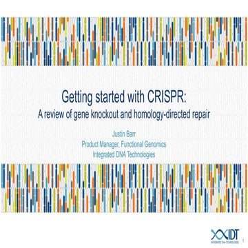 Getting started with CRISPR: a review of gene knockout and homology-directed ...