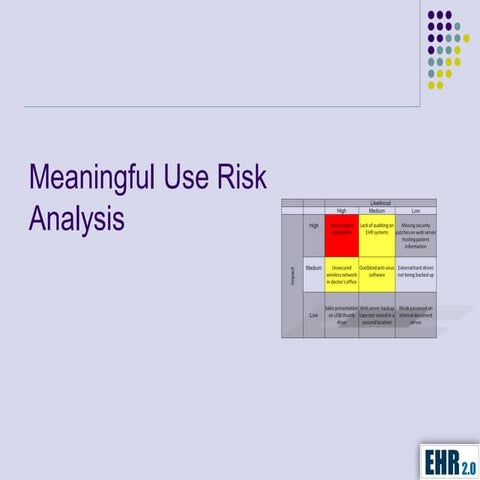 Meaningful Use Risk Analysis Webinar