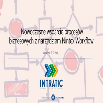 Datapolis Process System PL | PDF