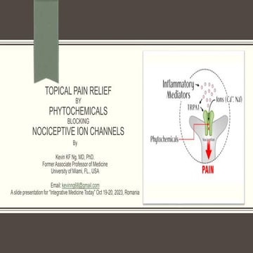 A new conept of topical pain relief by phytochemicals