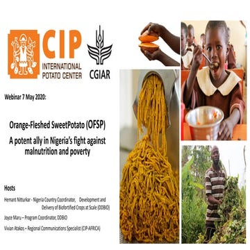 Webinar: Orange-Fleshed Sweetpotato - a potent ally in Nigeria's fight agains...