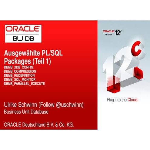 Ausgewählte PL/SQL Packages (1)