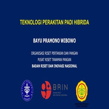 Teknologi Perakitan Padi Hibrida untuk Produktivitas dan Ketahanan | PDF