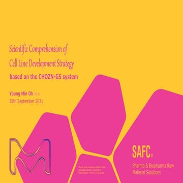 Scientific Comprehension of Cell Line Development Strategy Based on the ...