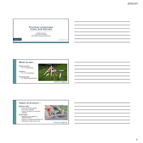 Pruning Trees and Shrubs