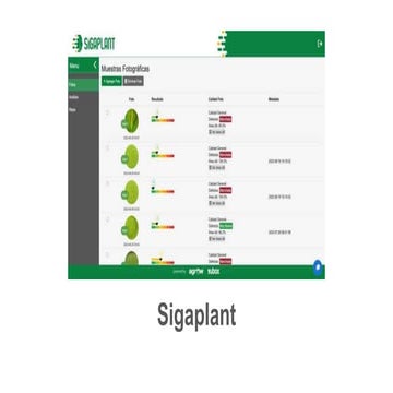 Detección temprana de sigatoka en banano usando Inteligencia Artificial