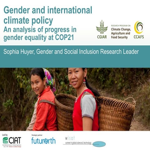 Gender and international climate policy