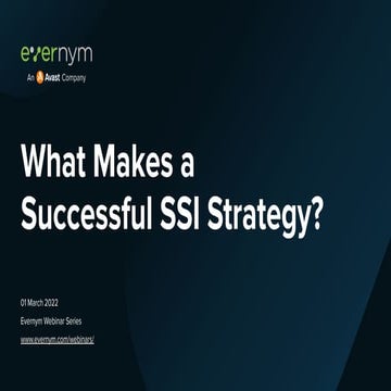 What makes a successful SSI strategy?