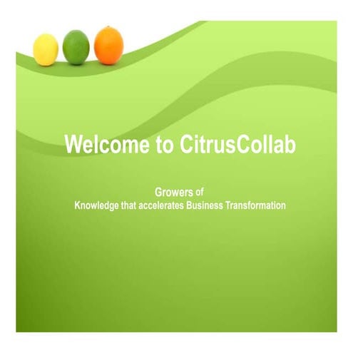 The Anatomy of XLA: eXperience Level Agreements