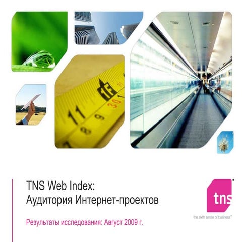 Web Index Report 2009-08