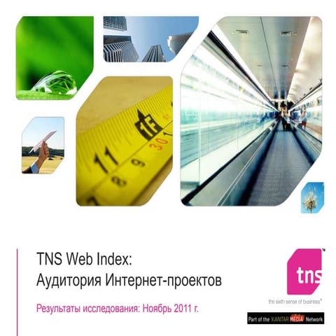 TNS !Web index report 201111