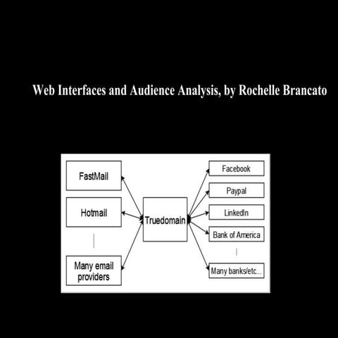 Web interfaces and audience analysis
