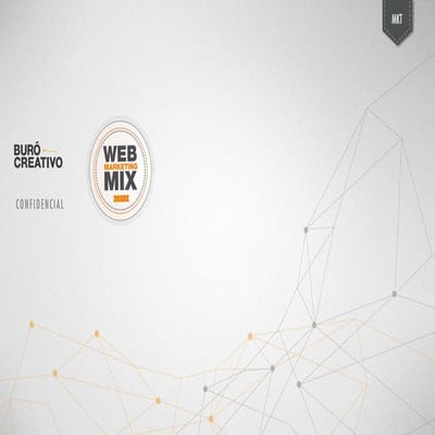 Web Marketing Mix - 2013