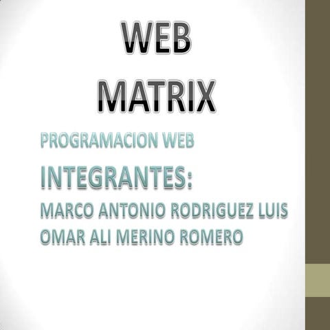 Web matrix