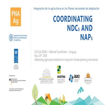 Coordinating NDCs and NAPs - Addressing agricultural resilience in long term ...