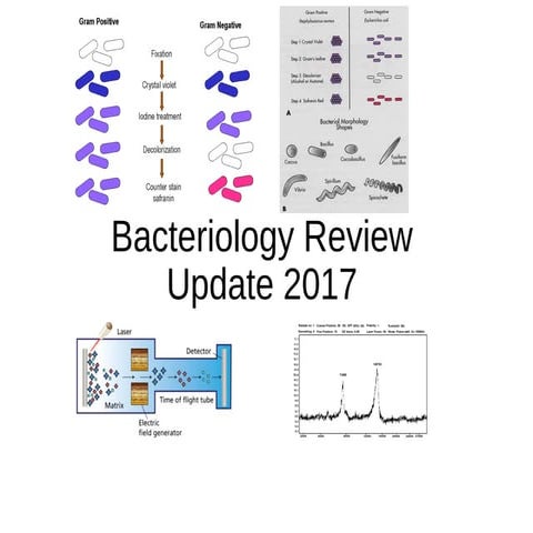 Bacteriology 2017 Update