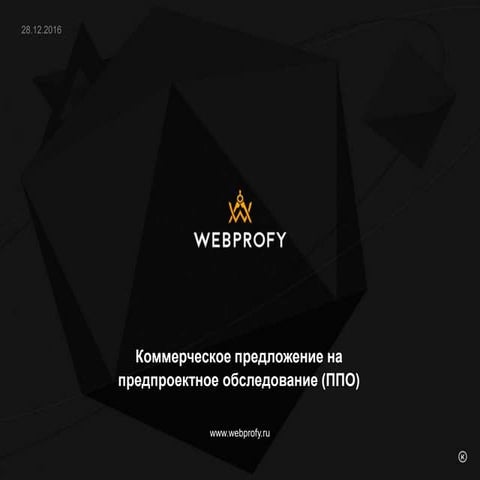 ППО (предпроектное обследование) от WebProfy.ru