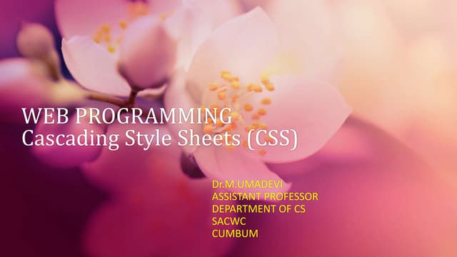 Web programming css