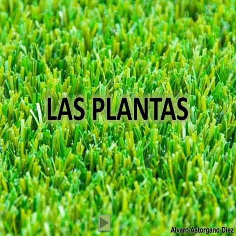 Webquest: Las Plantas