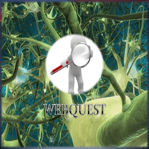 Webquest