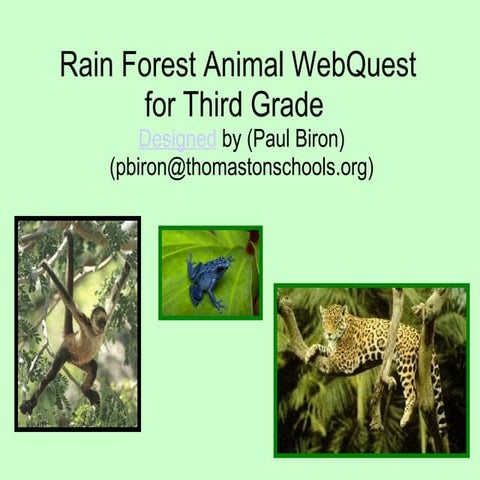 Web Quest Rainforest