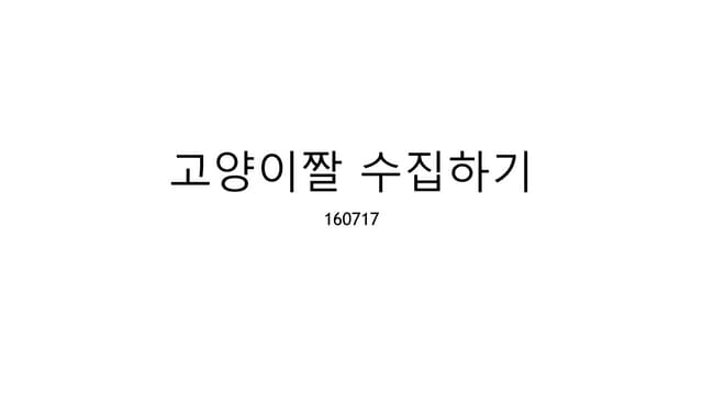 python으로 고양이짤 다운로드