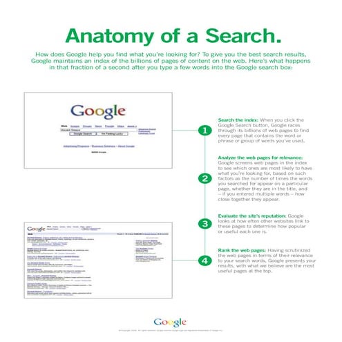 Web Search