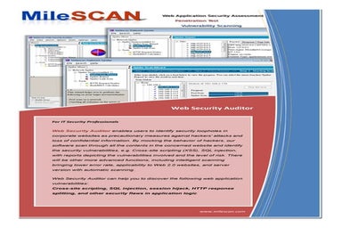 Web Sec Auditor