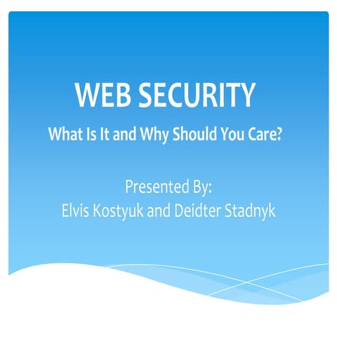Web security