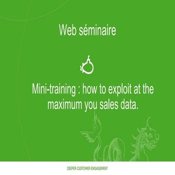 Mini-training : how to exploit at the maximum you sales data