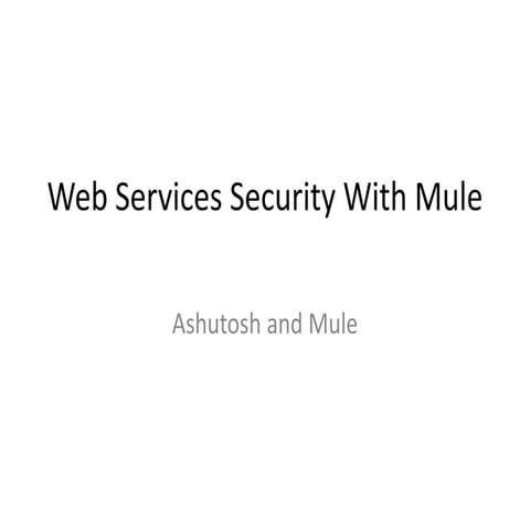 Security again: Web services with mule
