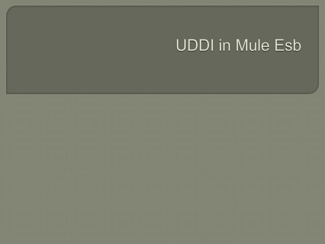 UDDI in Mule Esb
