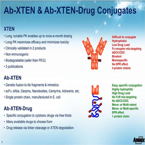 XTEN Conjugation v1 | PDF