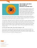 The Spiders and Web Crawlers of Website Optimization
