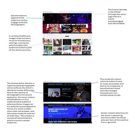 website analysis | DOCX