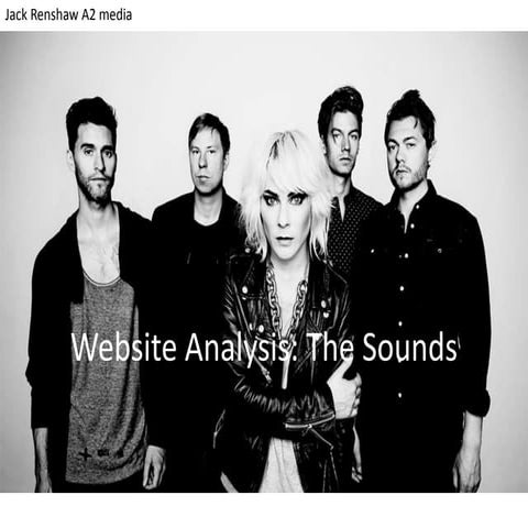 Website Analysis: The Sounds