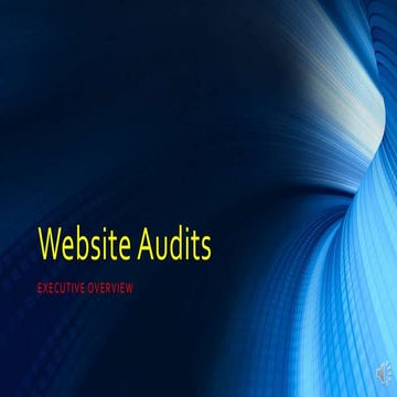 Website audit