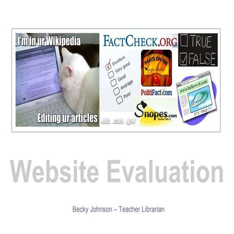 Website Evaluation