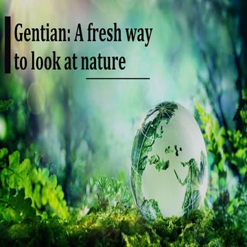 Website presentation