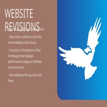 Website Revision Strategy for a Performance Supplement Brand | PPTX