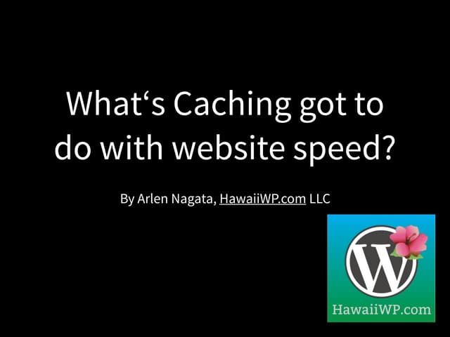 Leeward WordPress Meetup- Caching and Website Speed